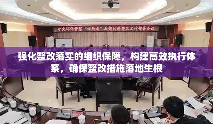 强化整改落实的组织保障,构建高效执行体系,确保整改措施落地生根
