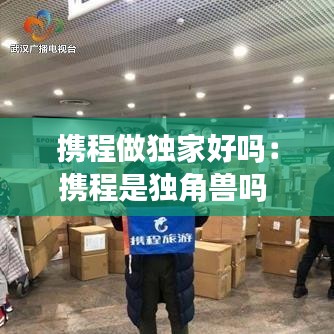 携程做独家好吗:携程是独角兽吗