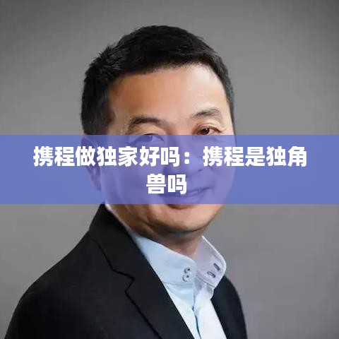 携程做独家好吗:携程是独角兽吗
