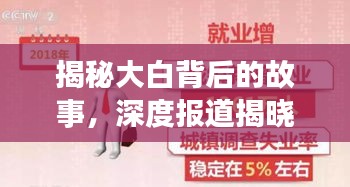 揭秘大白背后的故事,深度报道揭晓真相