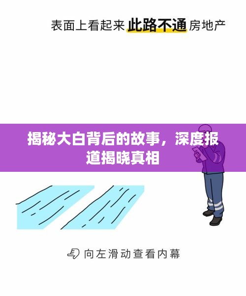 揭秘大白背后的故事,深度报道揭晓真相
