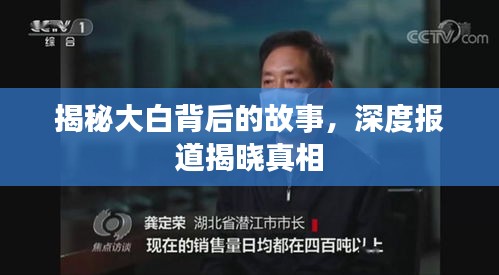 揭秘大白背后的故事,深度报道揭晓真相