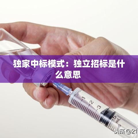 独家中标模式:独立招标是什么意思