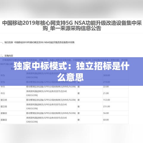 独家中标模式:独立招标是什么意思