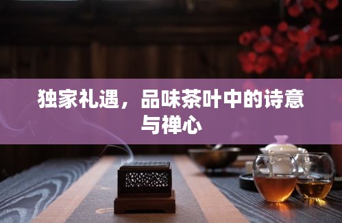独家礼遇,品味茶叶中的诗意与禅心