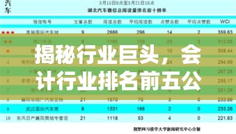揭秘行业巨头,会计行业排名前五公司及其影响力