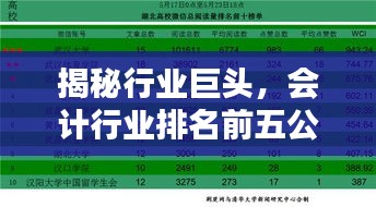 揭秘行业巨头,会计行业排名前五公司及其影响力