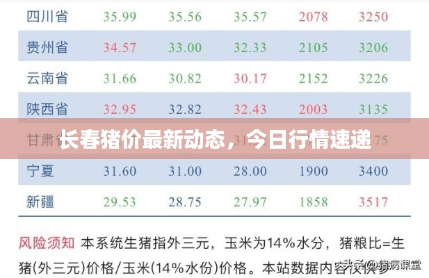 自由自在 第3页