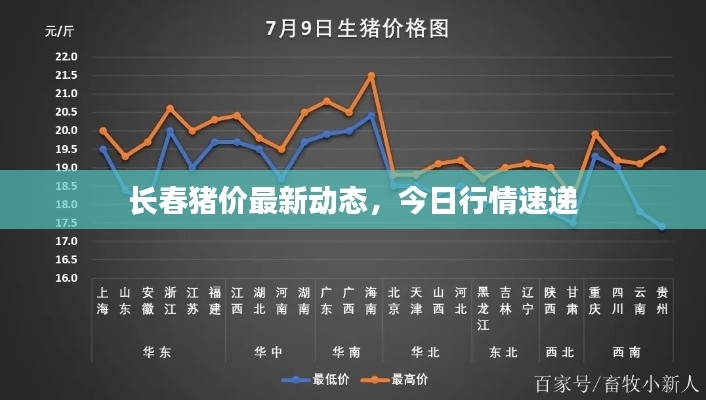 长春猪价最新动态,今日行情速递