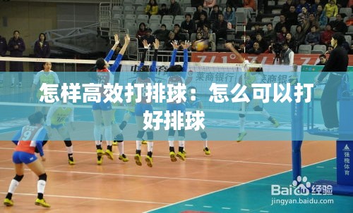 怎样高效打排球:怎么可以打好排球