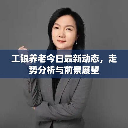 工银养老今日最新动态,走势分析与前景展望