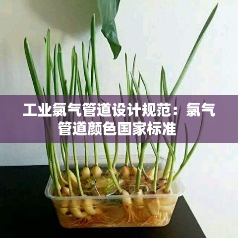 工业氯气管道设计规范:氯气管道颜色国家标准