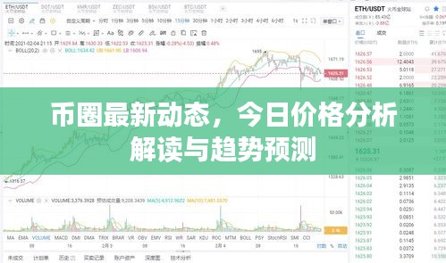 币圈最新动态,今日价格分析解读与趋势预测