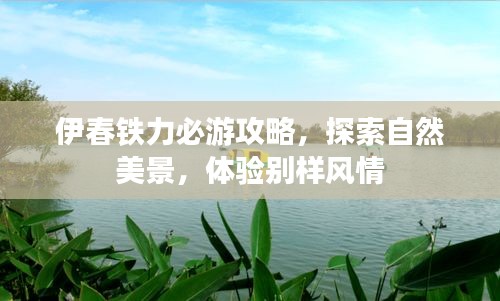 伊春铁力必游攻略,探索自然美景,体验别样风情