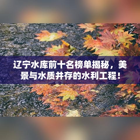 辽宁水库前十名榜单揭秘,美景与水质并存的水利工程!