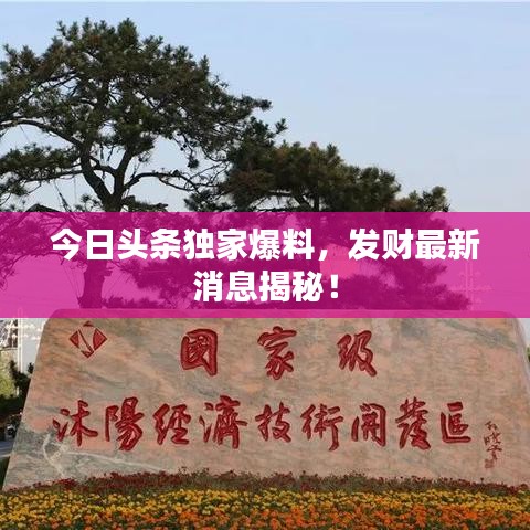 今日头条独家爆料,发财最新消息揭秘!