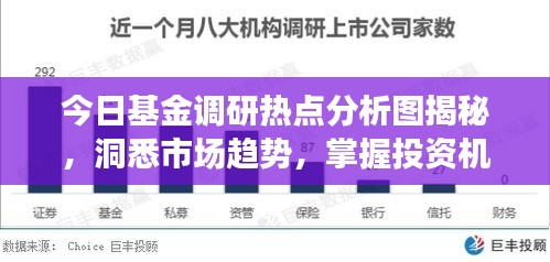 今日基金调研热点分析图揭秘,洞悉市场趋势,掌握投资机会!