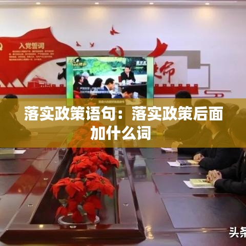 落实政策语句:落实政策后面加什么词
