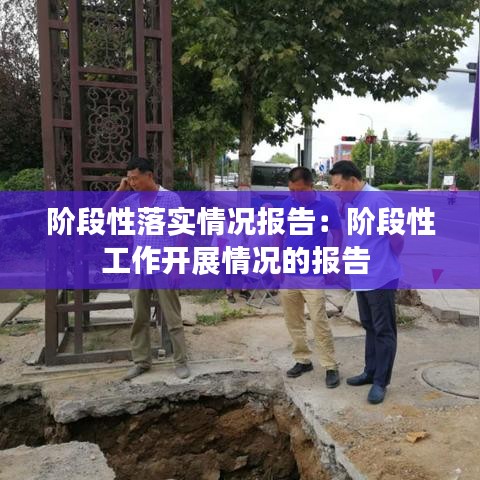 阶段性落实情况报告:阶段性工作开展情况的报告
