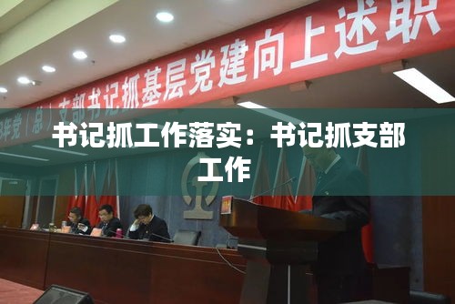 书记抓工作落实:书记抓支部工作