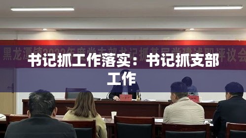 书记抓工作落实:书记抓支部工作