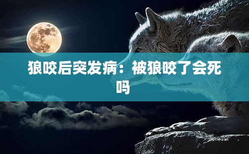 秀才人情纸半张 第4页