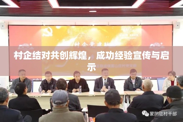 村企结对共创辉煌,成功经验宣传与启示