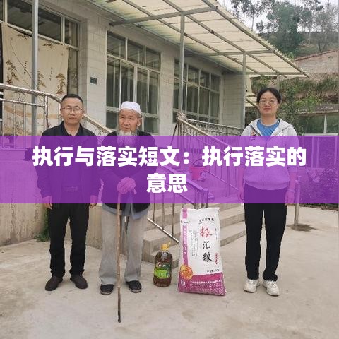 执行与落实短文:执行落实的意思