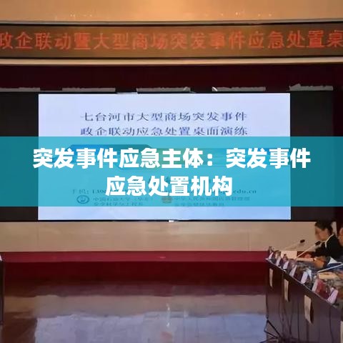 突发事件应急主体:突发事件应急处置机构