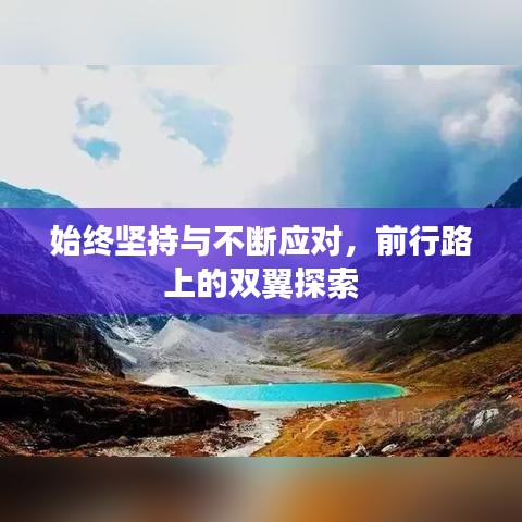 始终坚持与不断应对,前行路上的双翼探索