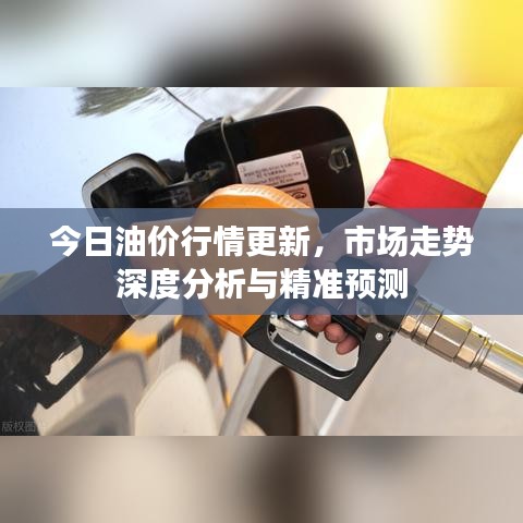 今日油价行情更新,市场走势深度分析与精准预测