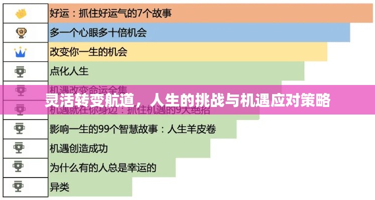 灵活转变航道,人生的挑战与机遇应对策略