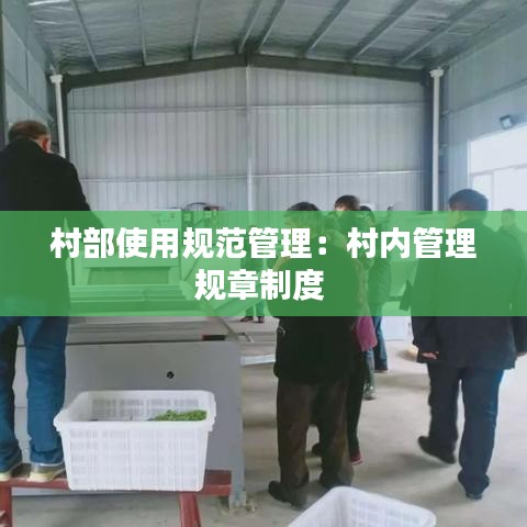 村部使用规范管理:村内管理规章制度