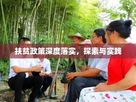 扶贫政策深度落实,探索与实践