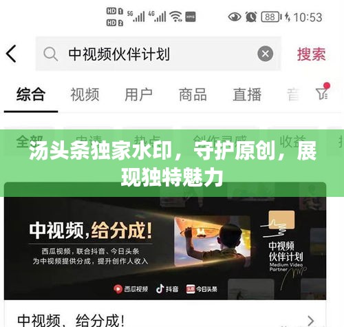 花枝招展 第3页