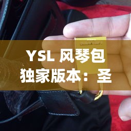 YSL 风琴包独家版本:圣罗兰风琴包有哪几种颜色