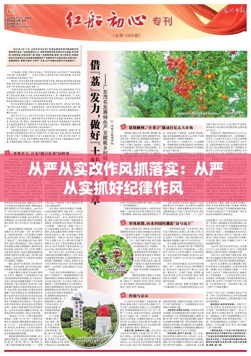 从严从实改作风抓落实:从严从实抓好纪律作风