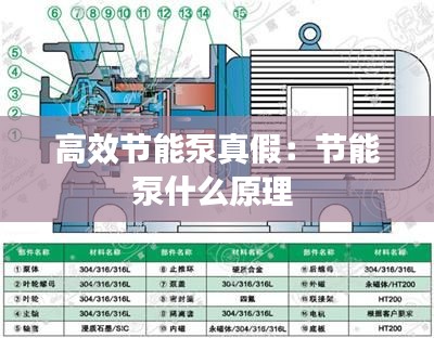 高效节能泵真假:节能泵什么原理