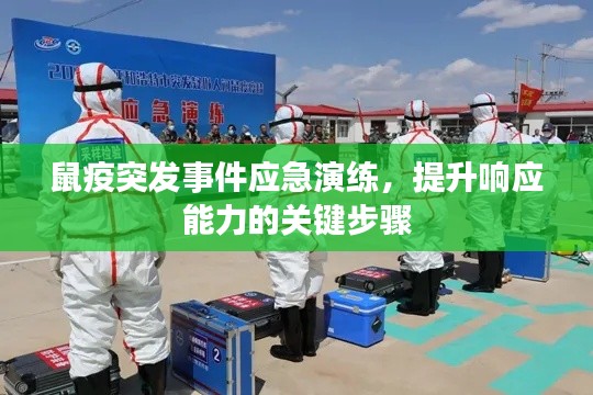 鼠疫突发事件应急演练,提升响应能力的关键步骤