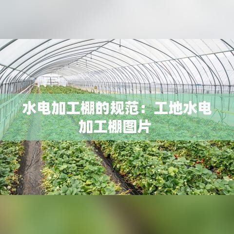 水电加工棚的规范:工地水电加工棚图片