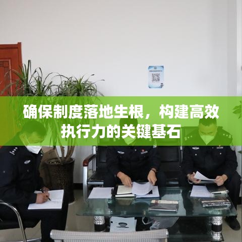 确保制度落地生根,构建高效执行力的关键基石