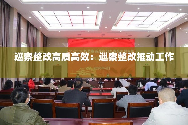巡察整改高质高效:巡察整改推动工作