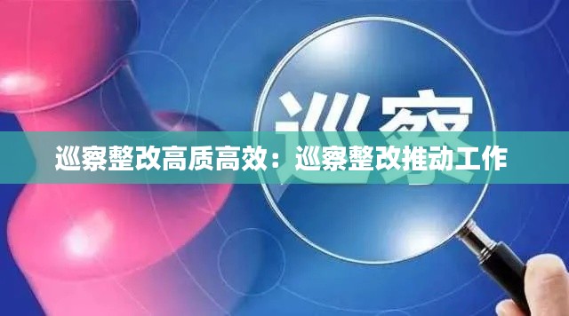 巡察整改高质高效:巡察整改推动工作