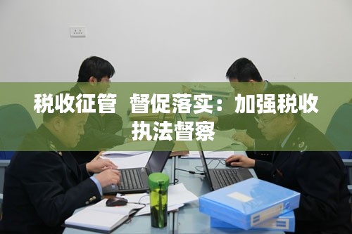 税收征管  督促落实:加强税收执法督察