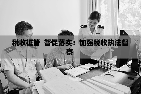 税收征管  督促落实:加强税收执法督察