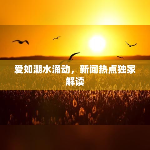 爱如潮水涌动,新闻热点独家解读