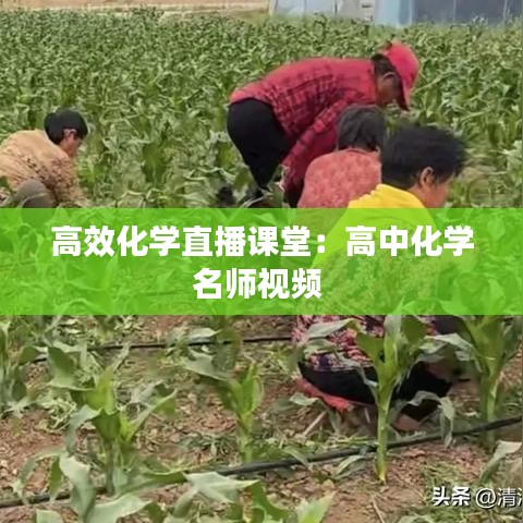 高效化学直播课堂:高中化学名师视频