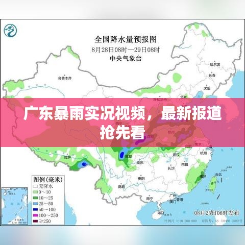 广东暴雨实况视频,最新报道抢先看