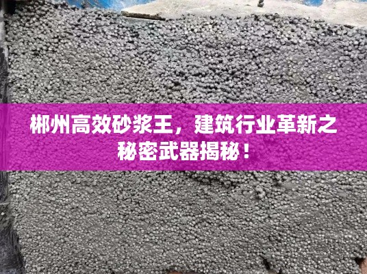 富贵逼人 第3页