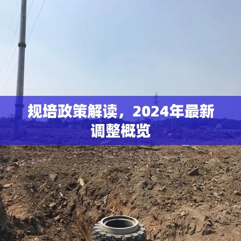 规培政策解读,2024年最新调整概览